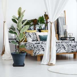 WAYNHUI Platillo cuadrado para plantas de 6/8/10/12/14/16/18/20 pulgadas, bandeja de recepción de agua cuadrada de plástico grande/pequeña (negro 10 pulgadas, paquete de 5 unidades)