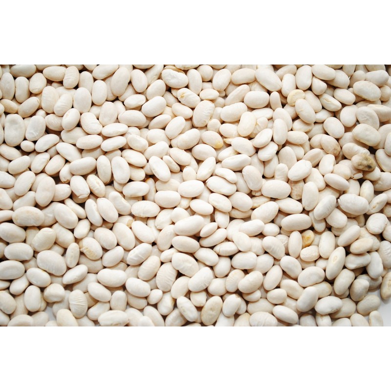 Hunza Organic Great Northern Beans (2 lbs)