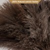 Aldwin Ostrich Feather Duster, 16 Inch Ostrich Feather Duster With