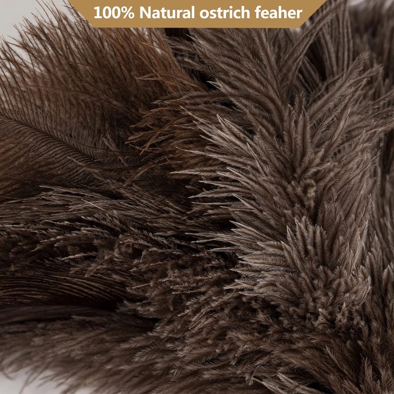 Aldwin Ostrich Feather Duster, 16 Inch Ostrich Feather Duster With