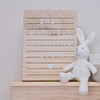 Ginger Ray Wooden Letter Display Board with 170 Letters, Numbers
