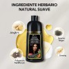 Shampoo Tinte Instantáneo Cubre Canas Natural Jengibre 500ml