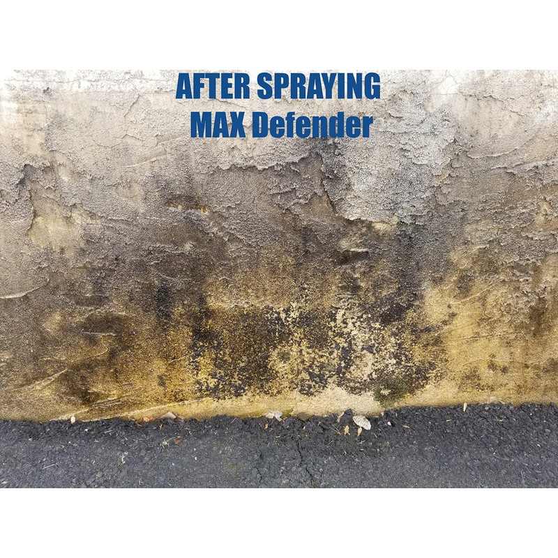 DeckMAX MAX Defender Ready to Use Outdoor Surface Cleaner Outdoor