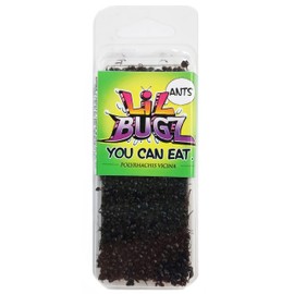 BicBugs Ants Lil Bugz Edible Insects bred for Human Consumption