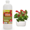 Gardenera Premium Liquid ANTHURIUM Fertilizer - 3-1-2 Concentrate for Indoor