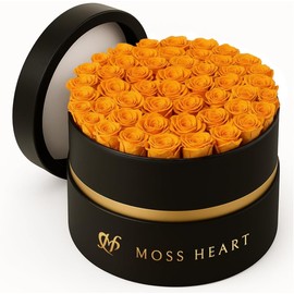 Moss Heart 50 Preserved Roses, Petite Forever Flowers for Delivery in Designer Round-Shaped Box, Long-Lasting Buds, Gifts for Women, Eternal Rose Bouquet for Anniversary or Girlfriend’s Birthday