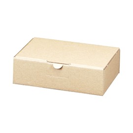 100 Maxi Letter Boxes 160 x 110 x 50 mm Brown (Pack of 100)