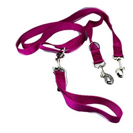 2 Hounds Freedom Multipurpose 1 Inch Euro Pet Leash 4 to 8 Foot or Double Dogs with Detachable Handle Raspberry
