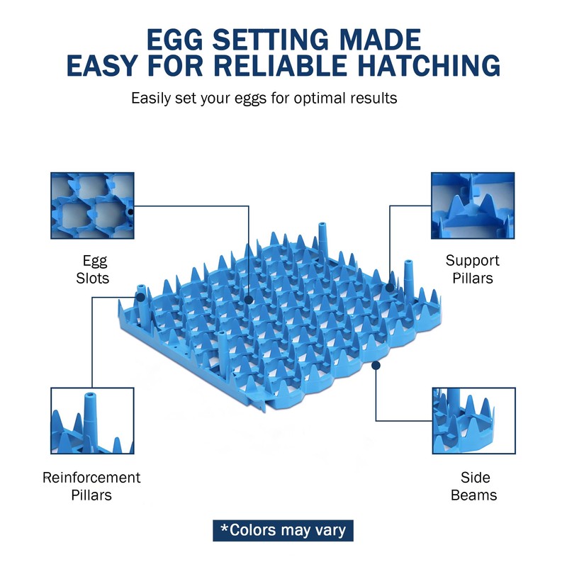 Universal Chicken Egg Trays (6 pack)