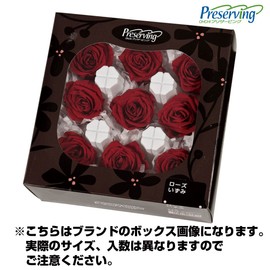 Earth Farms Brand of Preserved 6 Wheels with Wheel Chrysanthemum in