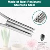 Berry&Bird Garden Bulb Planter with 15cm/6in Depth Mark, Garden Bulb