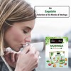 Tea4U Flavored Moringa Selections 60 Tea Bags