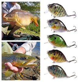 Lixada 5PCS Fishing Lures 6cm 15g Mini Wobbler Fishing Lure Artificial Hard Bait Crankbait with Tackle Box for Fish Bass Fishing Tackle