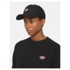 Dickies Hanston Trucker Cap, black