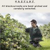 Unsweetened Dried Black Currants (14 oz) No Sugar Added, No