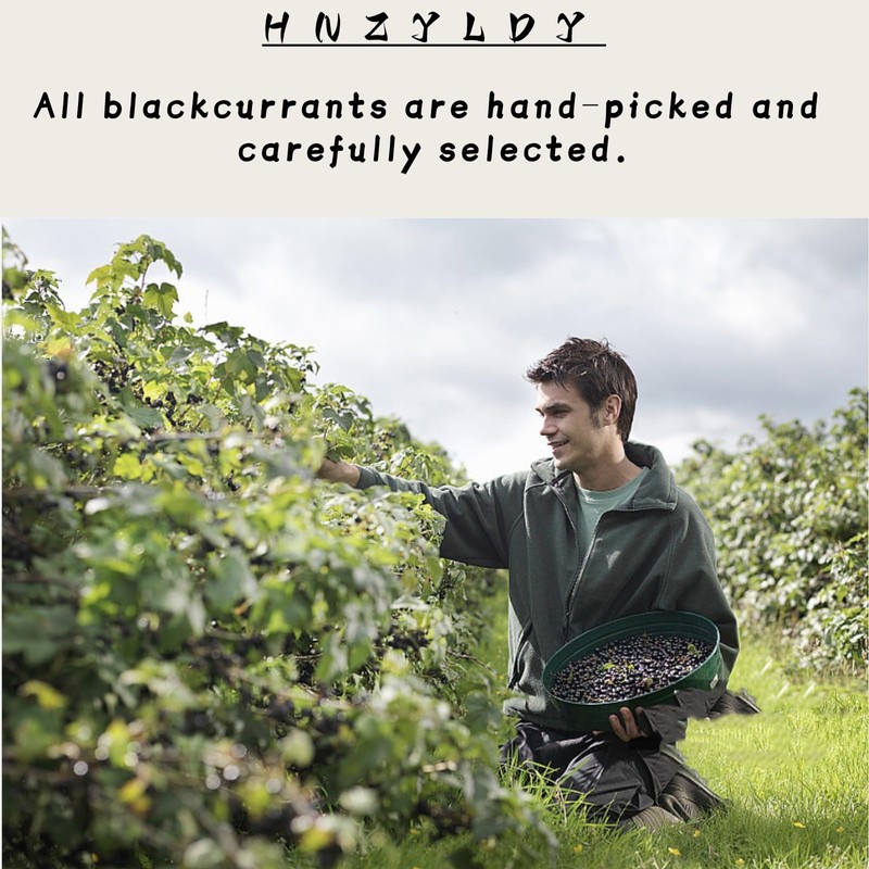 Unsweetened Dried Black Currants (14 oz) No Sugar Added, No