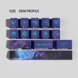 Gatokit Valorant Custom Keycaps OEM Profile 14keys PBT Dye Sub Keycap Set for Mechanical Keyboards (Omen)