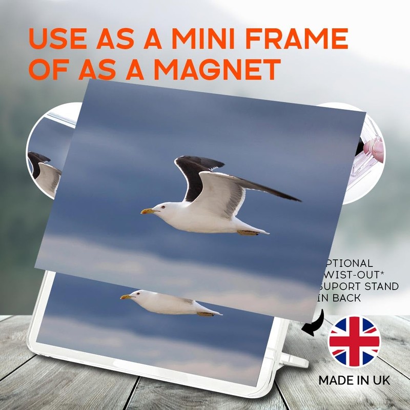 Classic Rectangle Magnet with Stand - Lesser Black Backed Gull