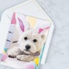Current Picture This Dog & Cat Easter Value Greeting Card