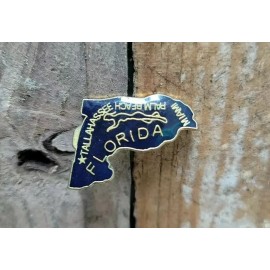 Vintage Enamel pin FLORIDA Lapel Hat jacket backpack collection new in package!
