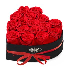 Roses Gifts for Her,Forever Preserved Flowers Roses In a Heart Shape Box,Anniversary Birthday Gifts for Wife Women Mom Best Friend Girlfriend/16Pcs Red