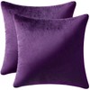 MIULEE Velvet Throw Pillow Covers 22x22 Inch, Pack of 2