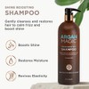 ARGAN MAGIC - Shine Boosting Shampoo (32 Ounce / 946