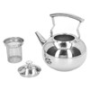 Stainless Steel Teapot Tea Kettle with Removable Filter High Temperature