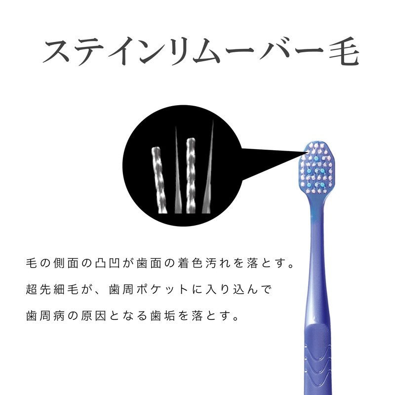 Ebisu Premium Care Teeth Whitening, 6-Row Compact, Regular, 3-Piece Set