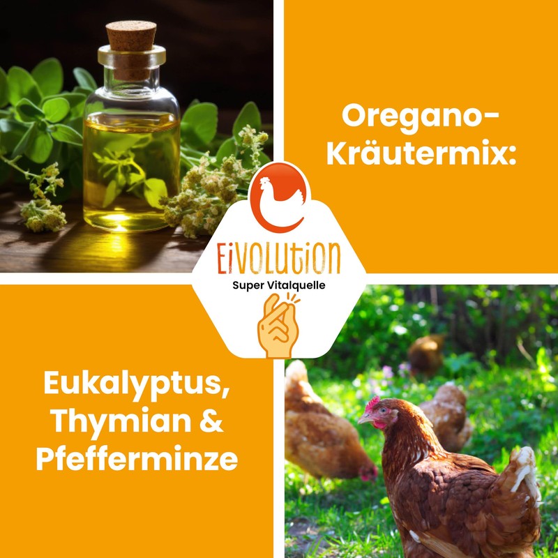 Eivolution Organic Chicken Feed Pellets 800 g - Oregano Herb