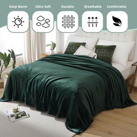 Fleece Blanket Throw, Soft Fluffy Throw Blanket for Couch Bed Travel Camping, Cozy Fuzzy Lightweight Luxury Plush Microfiber Blanket Thick Warm 300 GMS, 50x60 inches