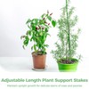 6 Pack Plant Support Stakes with 24 Fixing Clips, 12