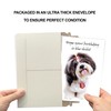 Funny Dog Birthday Card Pun With Shih Tzu | Made