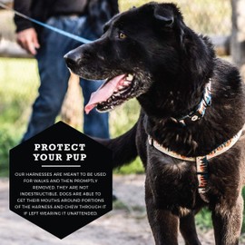 Wolfgang Heavy Duty Adjustable Dog Harness, Pull-Tested to Over 800 lbs for Walking & Training, Overland Print, Extra Large