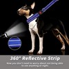 Martingale No Pull Dog Collar for Large Medium Small Dogs,