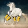 2Pcs Horse Tendon Boots Open Front Adjustable Breathable Horse Front