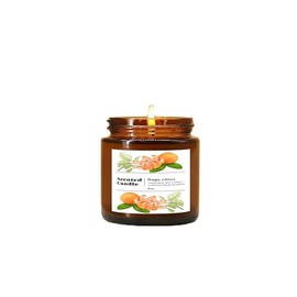Sage Citrus Scented Candle | Fresh Herbal-Citrus Blend | 50-Hr Clean-Burning | Brown Glass Jar 9oz