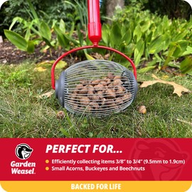 Garden Weasel Nut Gatherer - Small Cage | Pick Up Small Acorns, Buckeyes, Beech Nuts | Nut Collector and Picker Upper Roller | 95334