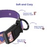 PawView Dog Collar & Lead Set with QR Code ID