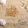Shimmeroo 100 Pieces Mini Rolls Scroll Paper Mini Message in