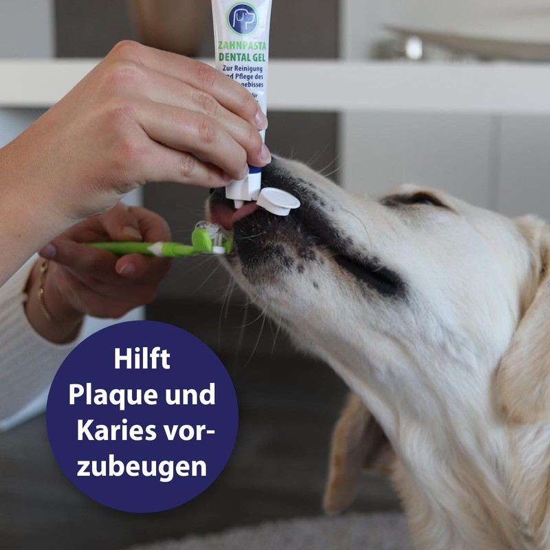 Canosept Dog Toothpaste Dental Gel 100 g - Toothpaste for