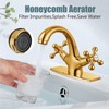 Aolemi Bathroom Sink Faucet Single Hole Cold and Hot Double
