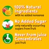 BEAR Tropical FRUIT TREASURES - Delicious Real Fruit - Suitable