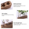 Plant Propagation Station, Plant Propagation Tubes Minimalist Look for Desktop