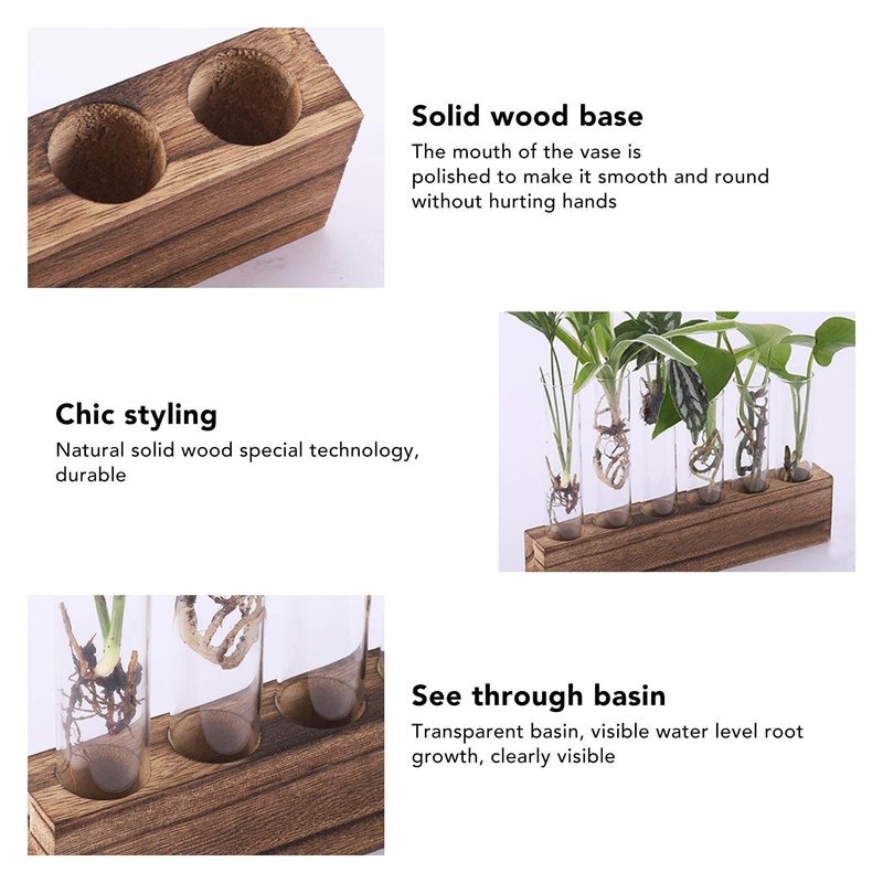 Plant Propagation Station, Plant Propagation Tubes Minimalist Look for Desktop