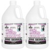 Natural Chemistry Pro Series Stain & Scale Control (1 gal)