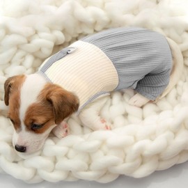 TENGZHI Dog Pajamas Small Dog Shirt Clothes for Girls Boys Cute Puppy Cat Outfits Onesies with Leash Ring Pet Dog Kitten Overalls Jumpsuits for Yorkie Chihuahua Teacup Romper Clothing Apparel