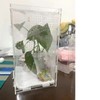Lucky Interests 2 Pack Acrylic Reptile Cage, 4.7x4.7x7.9 inch Reptile
