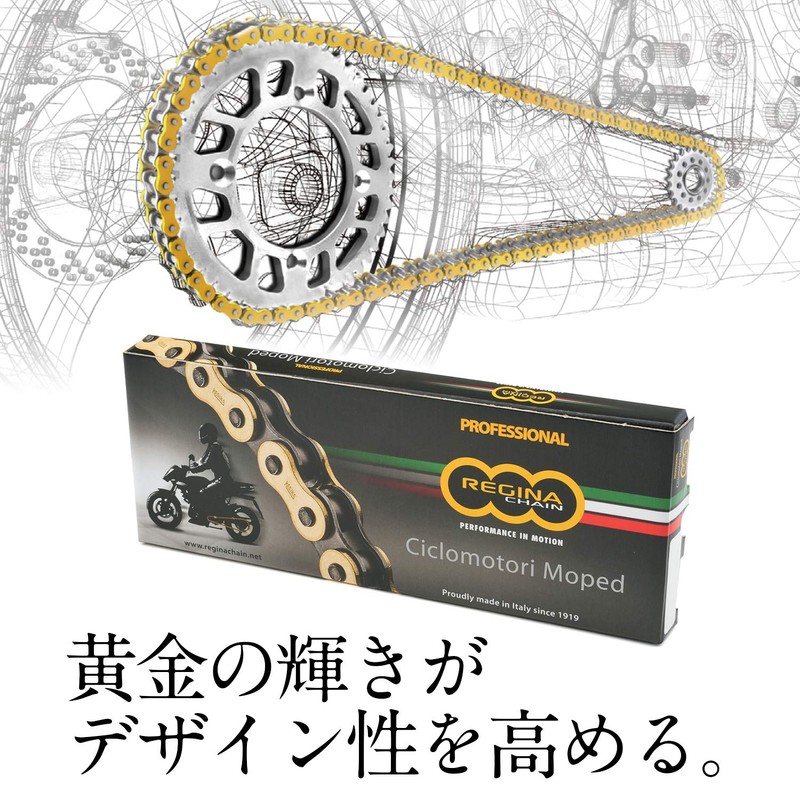 Regina 14972 Daytona Motorcycle Gold Chain with Clip Joint 420-100
