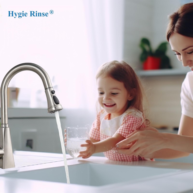 Hygie Rinse Universal Kitchen Faucet Head Replacement 3 Function Kitchen